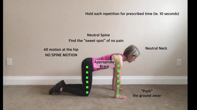 Bird Dog: Leg Only with Flexed Knee